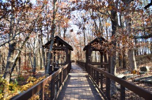 Cheaha Bald Rock Boardwalk Trail