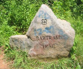 Bartram Trail - stone
